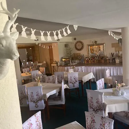 Bella Hotel 3*
