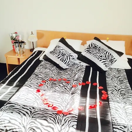 Bella Hotel 3*